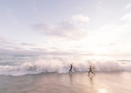 不经寒彻骨，梅花香更浓